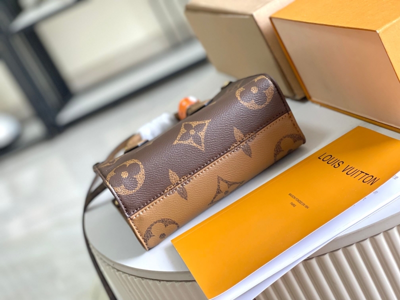 LV Travel Bags